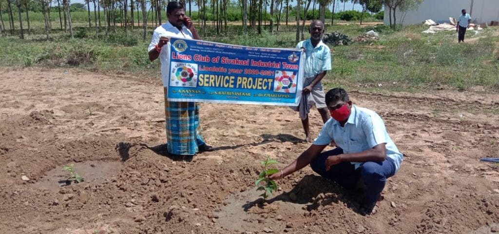 Lions plant Fruit Tree